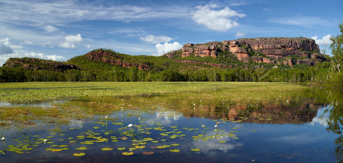 Anbangbang Billabong, Kakadu by Paul Arnold Photography